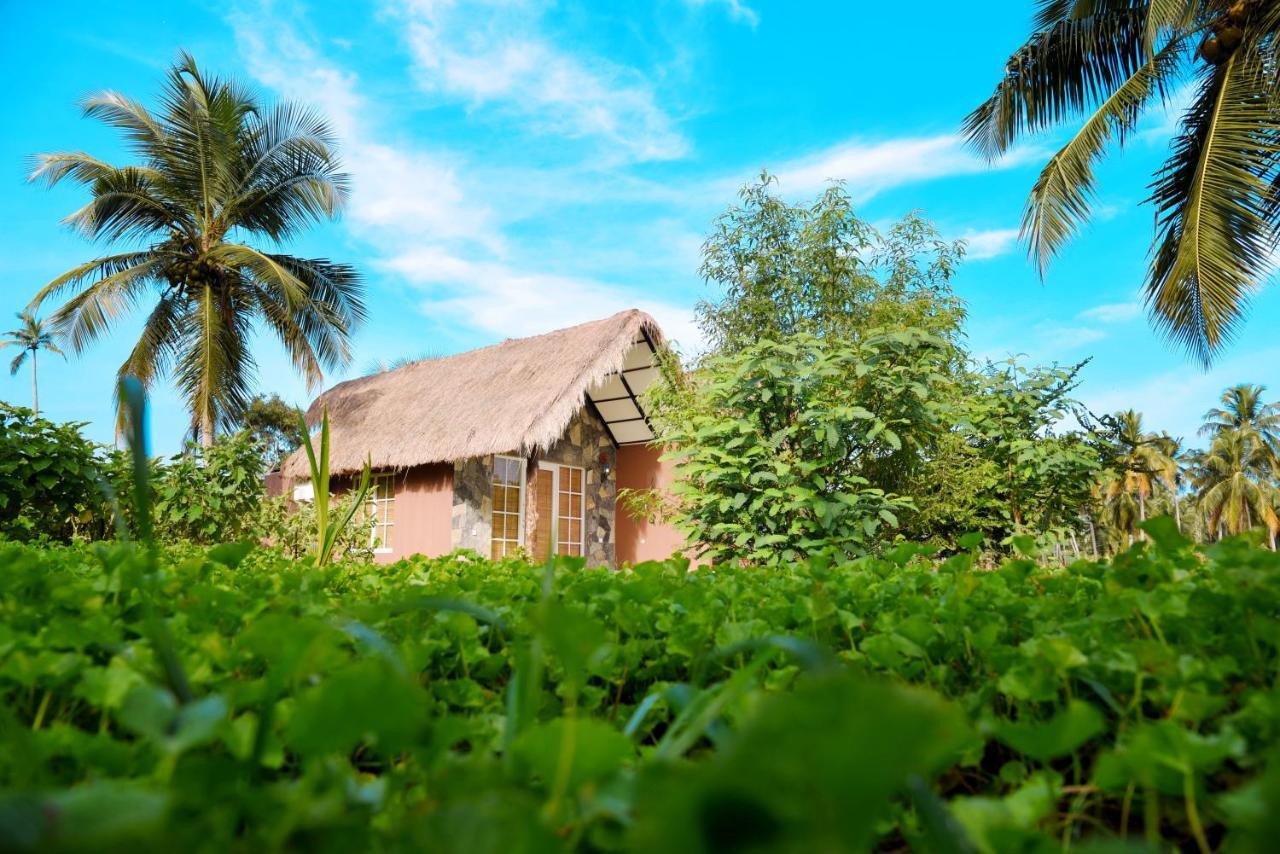 Coco Village Hotel Chilaw Bangadeniya ภายนอก รูปภาพ